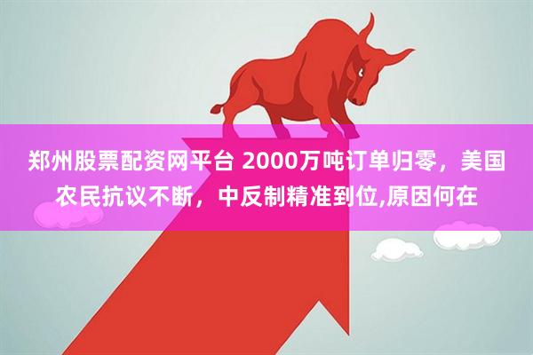 郑州股票配资网平台 2000万吨订单归零，美国农民抗议不断，中反制精准到位,原因何在
