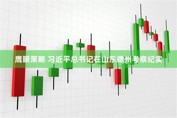 鹰眼策略 习近平总书记在山东德州考察纪实